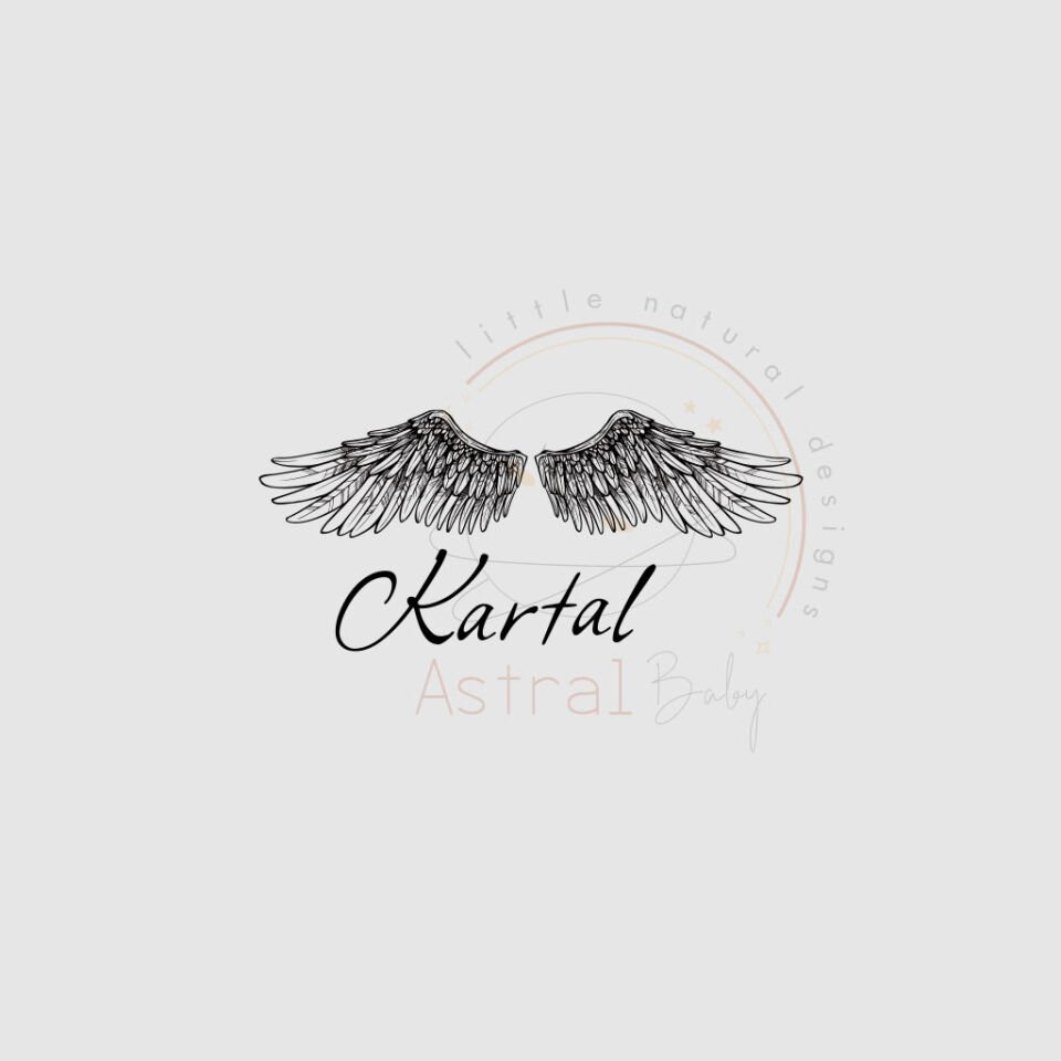 Kartal Kanadı Desenli Çocuk T-shirt